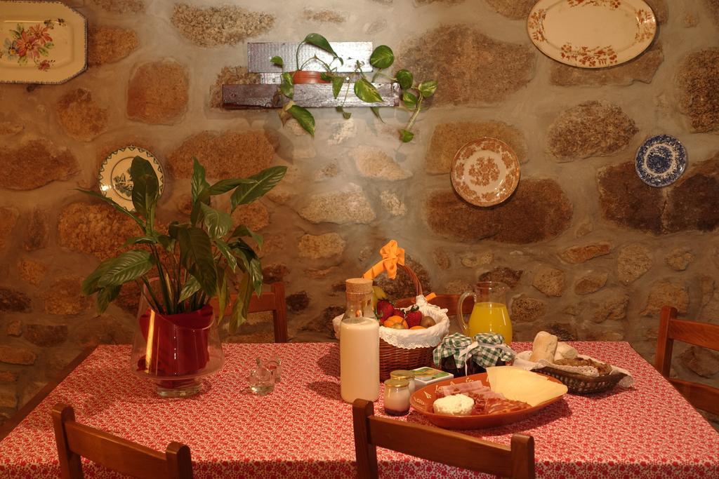 Casas Da Fonte - Serra Da Estrela 塞亚 外观 照片
